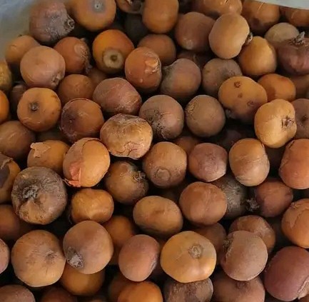 Country onion  Inquiry Whatsap  Us +237 670819930