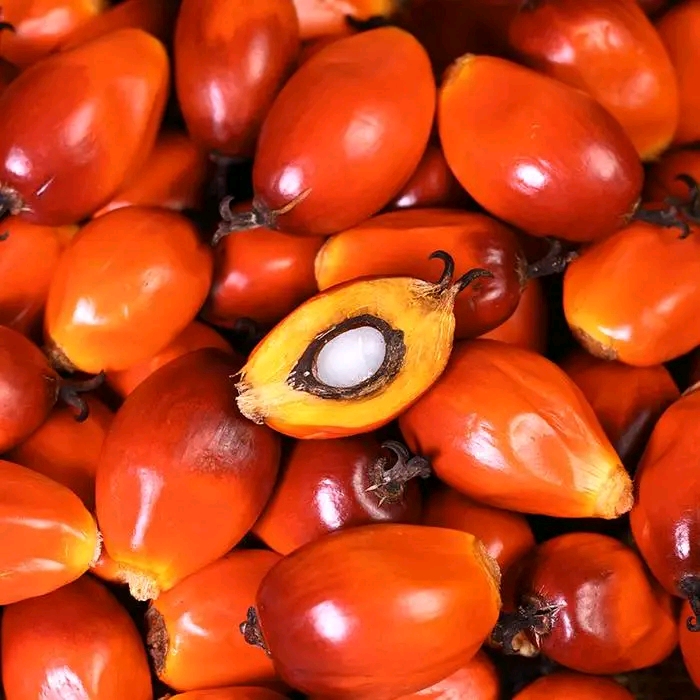 Palm nuts Inquiry Whatsap  Us +237 670819930