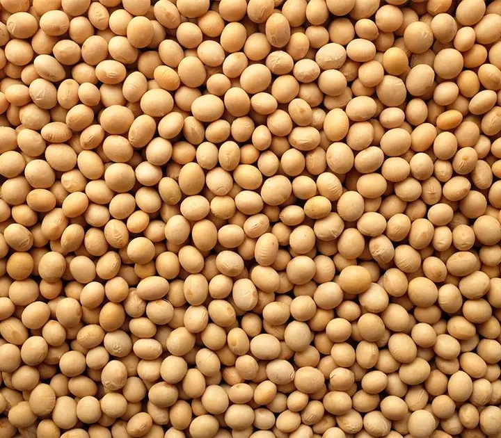 Soya beans