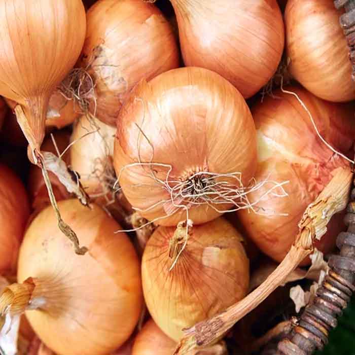 Onions
